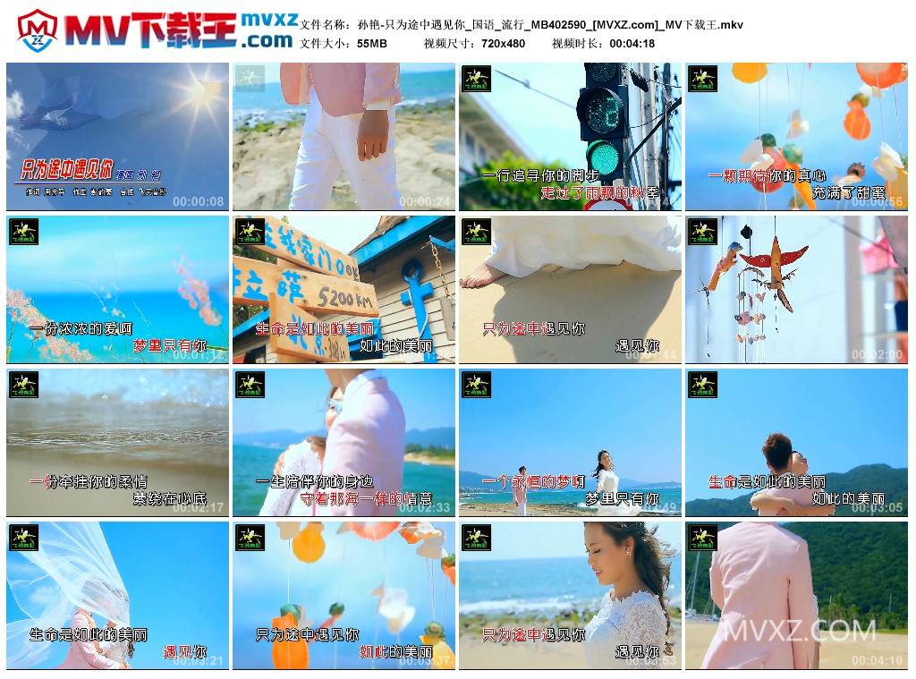 孙艳-只为途中遇见你_国语_流行_MB402590